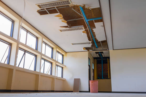 Best Basement water damage restoration  in Red Cloud, NE