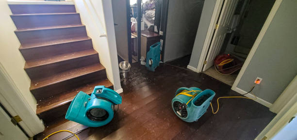 Best Water damage restoration process  in Red Cloud, NE