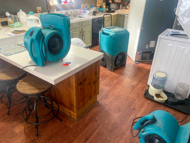 Best Water damage restoration mold remediation  in Red Cloud, NE