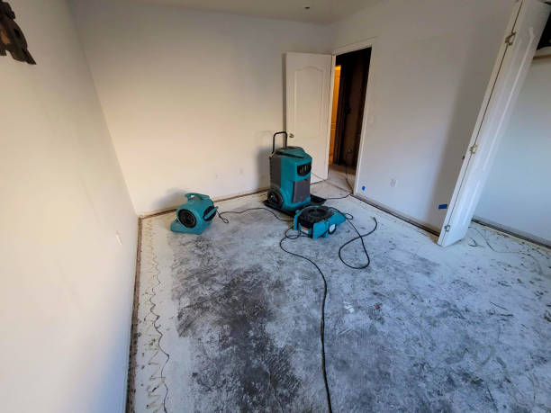Best Ceiling water damage repair  in Red Cloud, NE