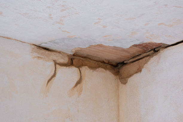 Professional Water damage restoration in NE