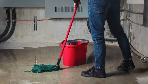 Best Residential water damage restoration  in Red Cloud, NE