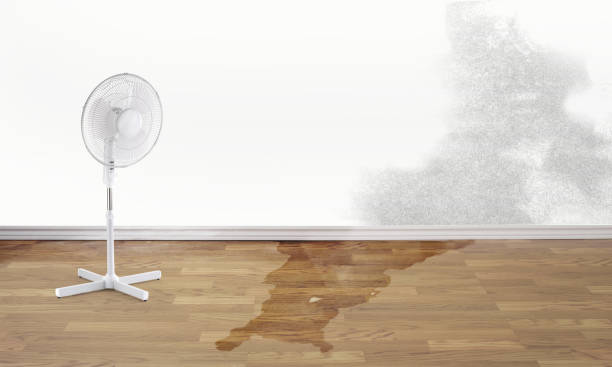 Best 24/7 water damage repair  in Red Cloud, NE