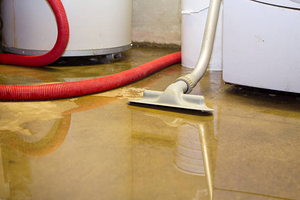 Best Flood restoration services  in Red Cloud, NE