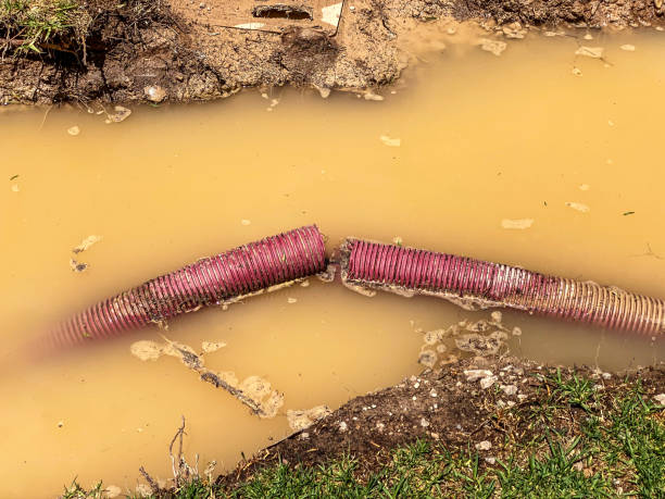 Water damage restoration mold remediation in NE